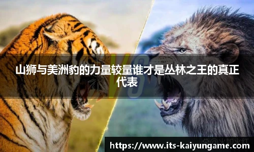 开云kaiyun官方网站