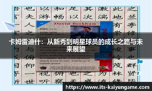 开云kaiyun官网